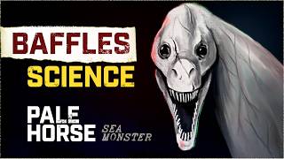 The Real Account of a Monster that Baffles Science | The Pale Horse Sea Monster