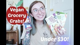 Aldi! Vegan Grocery Grabs! Under $30!