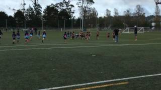 IMG 4473