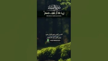 |کسانیکه پیروی شهوات میکنند...| سوره مبارکه #نساء | آیه ۲۷_۲۸|