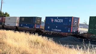 UP 7832 Intermodal Stack Train with SP Unit Northbound, Lodi Avenue. Railroad Crossing, Lodi CA