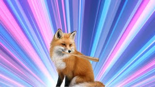 How to bonk fox in Tunic