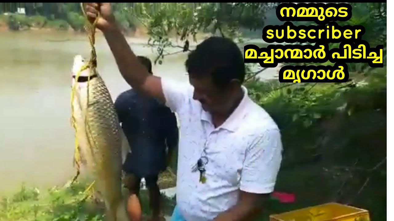 Fishing videos malayalamfishing in river YouTube