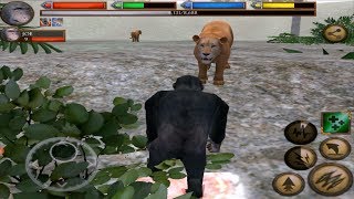 🐵Chimpanzee Family Simulator 3D Ultimate Jungle Simulator, By Gluten Free Games screenshot 5