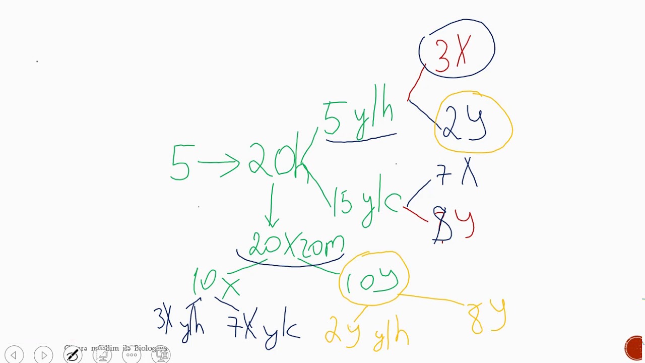 Ev  tapsirigi (qametogenez)
