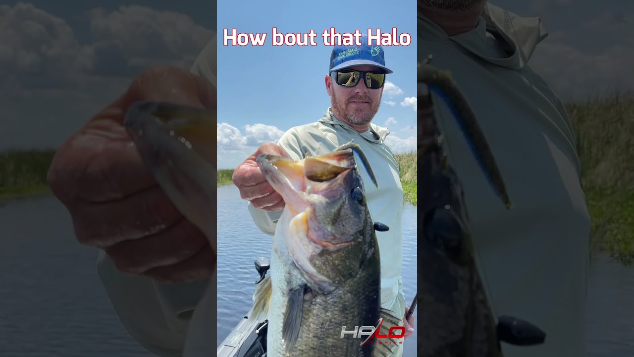 Can you punch with Halo HFX Rod? - video Preview #shorts 