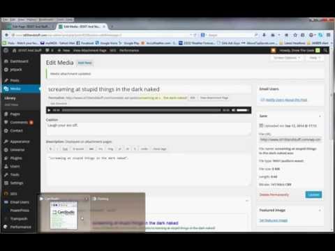 Using Playlists With Wordpress 4.0