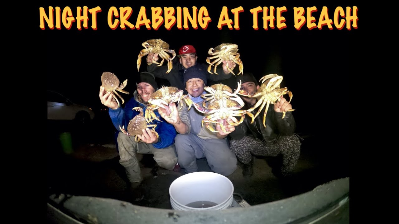 Night Crabbing At The Beach For Big Dungeness Crab San Francisco CA