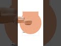 PANTONE 2024 PEACH FUZZ