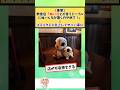 飲食店「ぬい活とか言うテーブルにぬいぐるみ置くのやめて!」メチャクチャ炎上してヤバい事に #2chまとめ