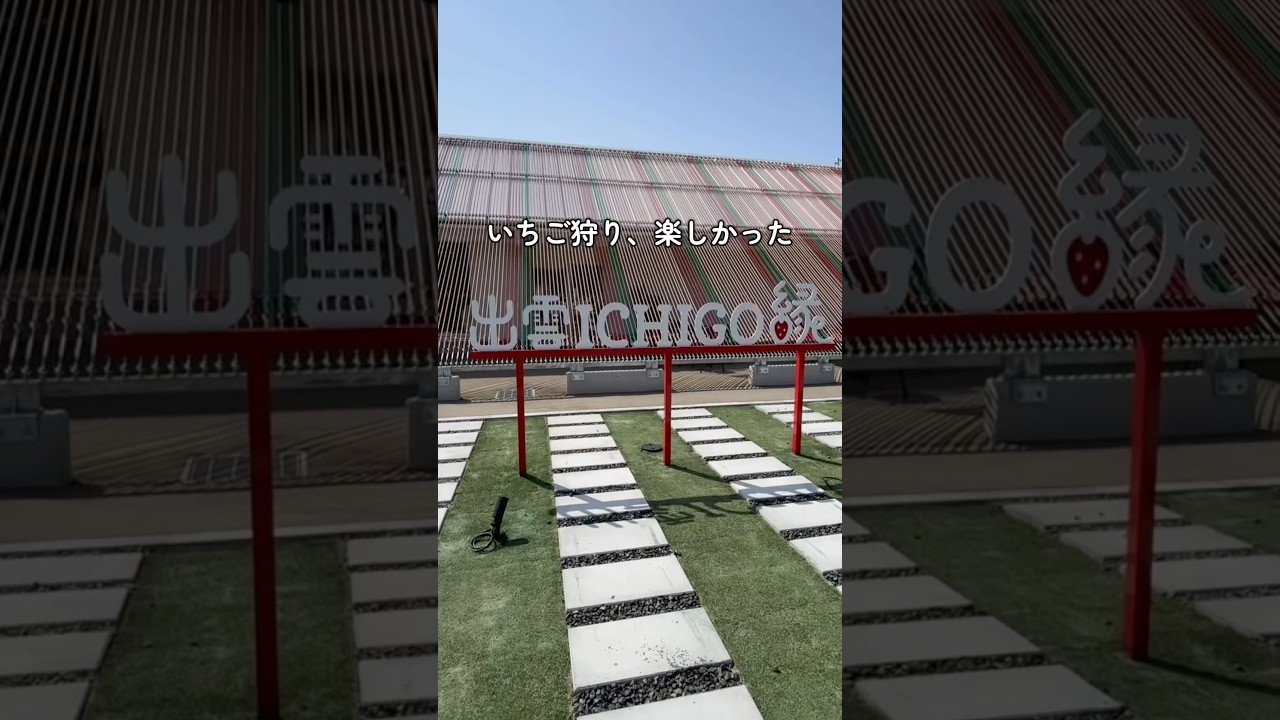 いちご狩りにはいつやっても美味しくて楽しい