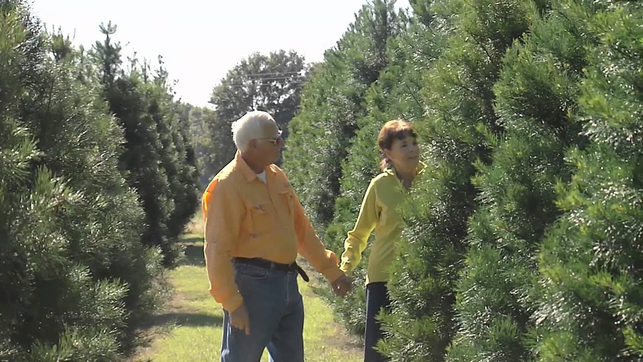 Red Barn Christmas Tree Farm YouTube