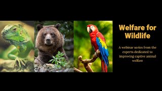 Zoos & Wild Animals in Captivity: Past, Present & Future - Welfare for Wildlife Webinar screenshot 5