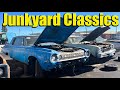 More Classic Cars In A Wrecking Yard - WTF Is That Doing In The Junkyard? Vol. 34