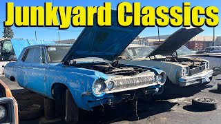 More Classic Cars In A Wrecking Yard - WTF Is That Doing In The Junkyard? Vol. 34