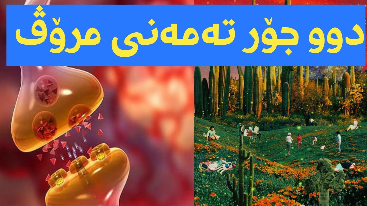 دوو جۆر تەمەنی مرۆڤ(تەمەنی بایۆلۆجی و تەمەنی فیکری )..