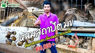ชมสวนเกษตรกรไทย Ep29 ตอน หนุ่มสถาปัตย์ มข เลี้ยงนกกระทา สร้างรายได้ 100000 บาทต่อเดือน