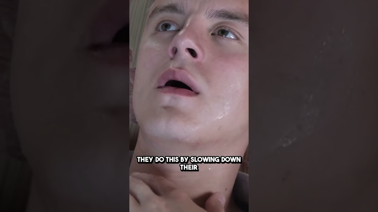 The SHOCKING Truth About Sloths' Underwater Abilities