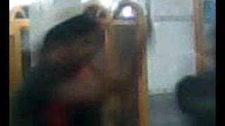 MOV0013A.avi