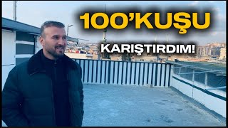 100’KUŞUMUZU BİR HAVAYA SALDIM ORTALIK KARIŞTI !