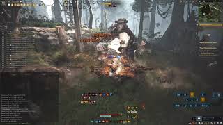 BDO Narc's Crimson Tear