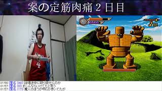 20170526 運動不足のデブニートが剣を振り回す part2【剣神ドラゴンクエスト】