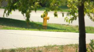 Daniel Hopwood Longboarding 2012