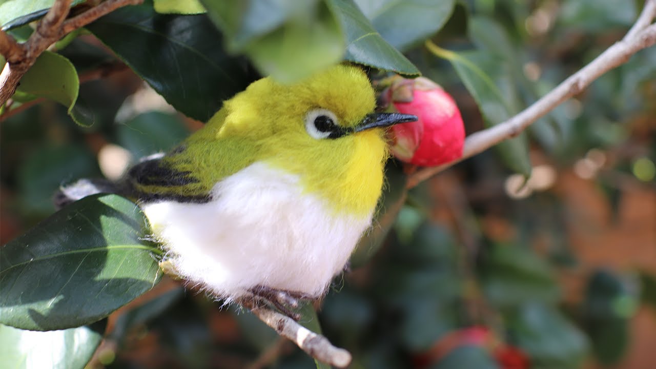 [Eng]니들펠트 동박새 만들기💚Needlefelt Bird DIY