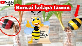 Cara membuat bonsai kelapa batok bentuk lebah mudah dan gampang