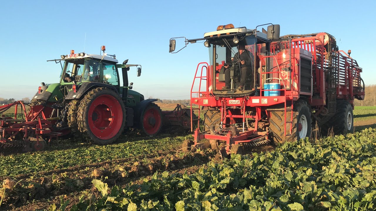 Harvesting Sugarbeets | Dewulf | Fendt 820 & Gilles