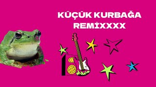 KÜÇÜK KURBAĞA REMİX EĞLENCELİ ÇOCUK ŞARKISI YENİ