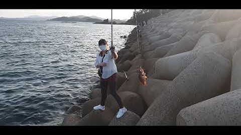 Điểm câu cá đẹp ở biển hàn quốc và hành trình đi câu