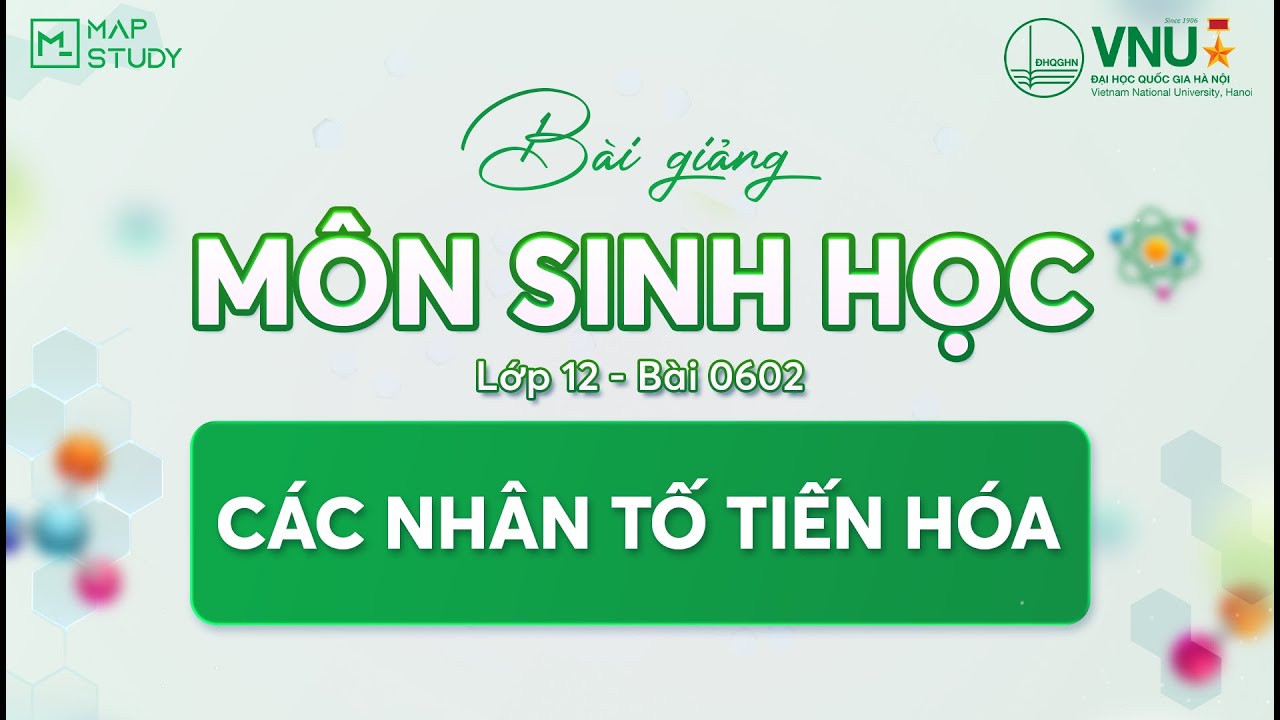 [Sinh Học HSA] - LỚP 12 - BÀI 0602: CÁC NHÂN TỐ TIẾN HÓA | Mapstudy