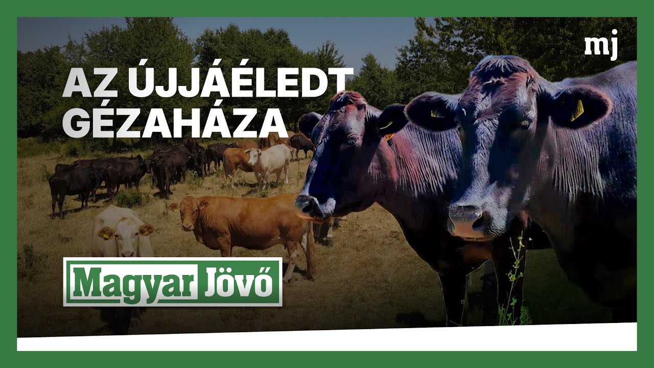 Jóval több mint gazdálkodás – hagyományátörökítés a Bakonyban