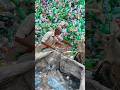 प्लास्टिक बोतल का सच 😱 4000 साल तक खत्म नहीं होती! | #AmazingFacts #Shorts