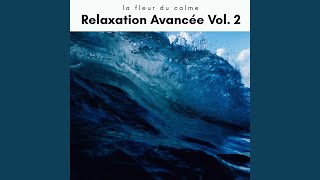 Algorithmic Calm with Soft Vibes
