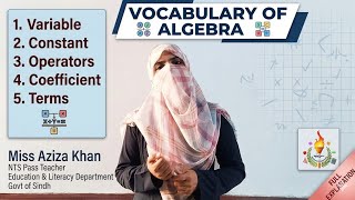 Algebra Vocabulary: The Words You NEED To Know