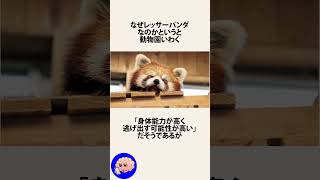 動物の脱走した時の訓練で動物役の職員が走り回った件に関するうんちく