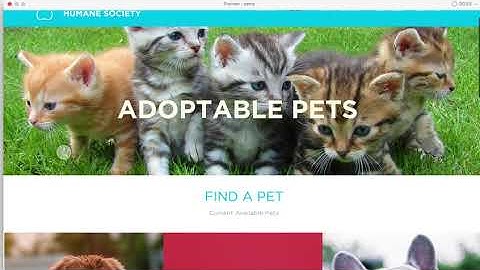 Creating a Video Screen Capture of XD Prototypes