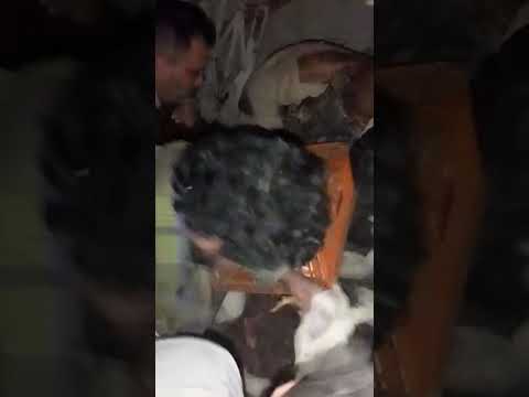 خناقه علي الفراخ هجوم علي المزارع المزارع الفراخ البيضاء طيور دواجن Funny Fypシ Viral