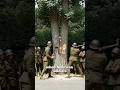 The US Sent 800 Soldiers to Cut Down ONE Tree