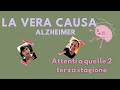 NON È LA MALATTIA A CAUSARE L'INFIAMMAZIONE! IL SEGRETO CHE CAMBIA TUTTO
