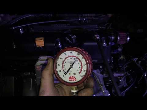 K20 Compression Test