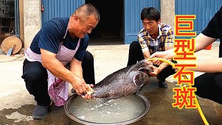 1260買條巨型石斑魚，農村鐵鍋燉大魚就是香，二十幾人吃爽了