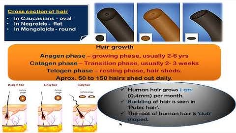 Trace Evidence Part 1 Forensic UGCNET exam preparation || ForensicCrackers by Revathy
