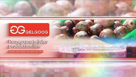 Pomegranate Arils Juice Molasses Processing Line