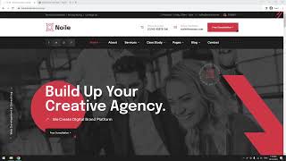 Noile WordPress Theme Installation and Demo import