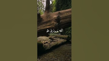 استمع لحظات تنفعك يوم القيامة❤️..... وتجهز لرمضان 🌙 | القرآن الكريم ( شُفَيَعٍگ يَۆم آلُقيَآمة )