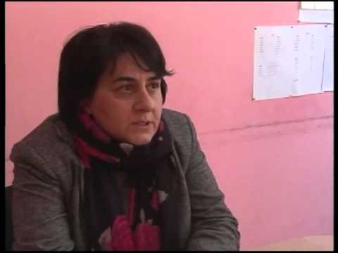 თესაუს პროფესორთა ნაშრომის პრეზენტაცია