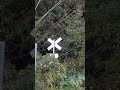 荒れた秘境踏切 #踏切 #shorts